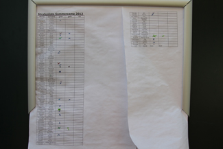 Die Strafenliste: grün, gelb oder rot?